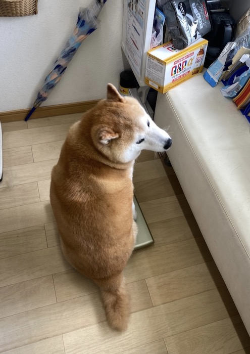 4日夕ブログ13