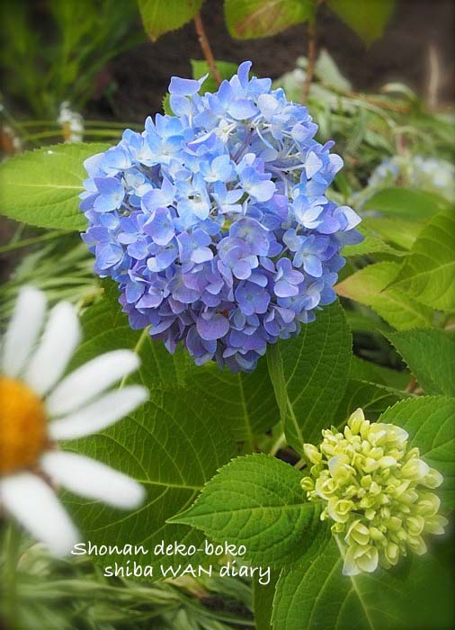 28日ブログ１