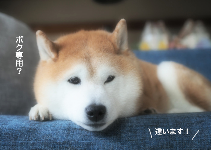 26日ブログ２