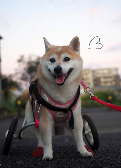 14日夕ブログ６