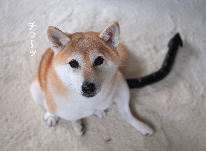 2日夜ブログ5