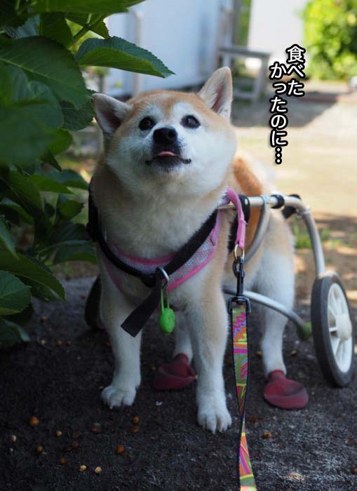 27日ブログ５