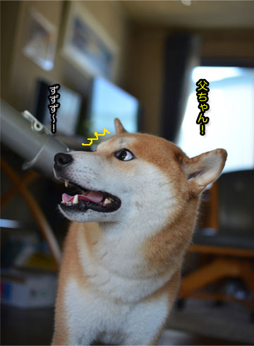 29日ブログ6.jpg