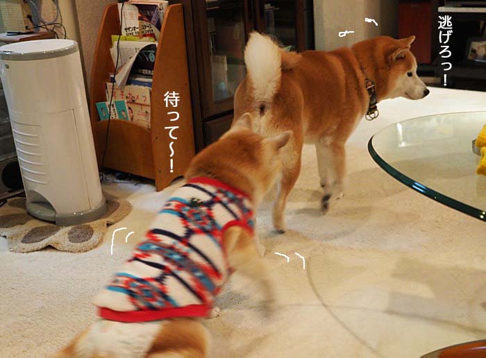 28日ブログ７