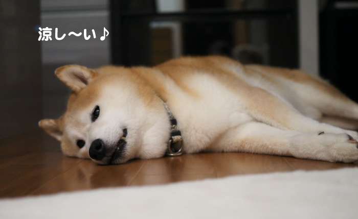 29日ブログ５