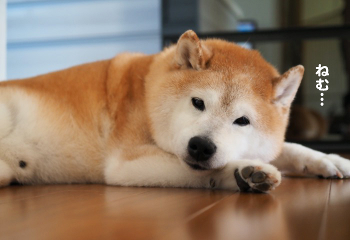 19日ブログ２