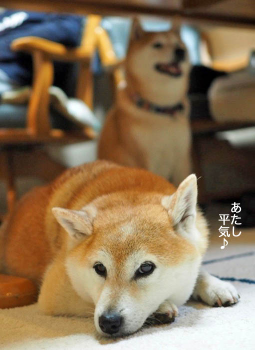 2日午後ブログ５