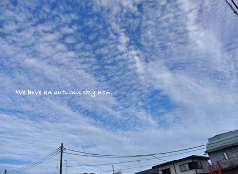 8日ブログ2.jpg