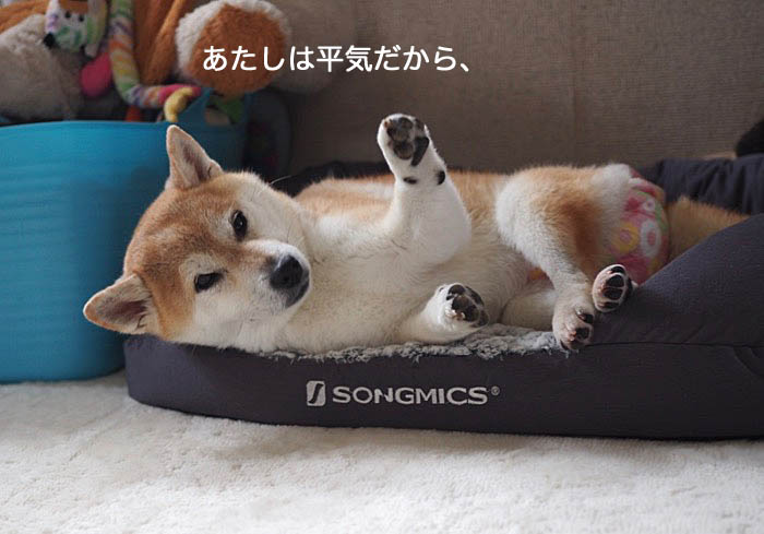 28日ブログ５
