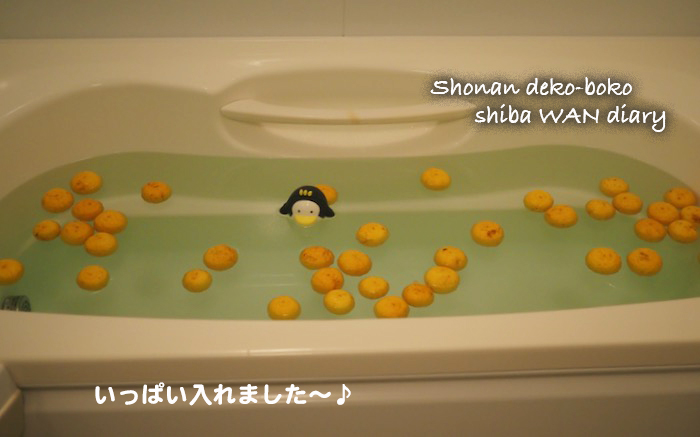 22日夕ブログ２