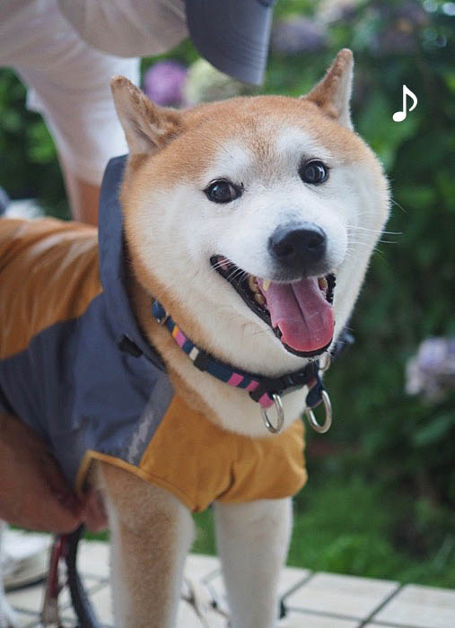 9日夜ブログ１