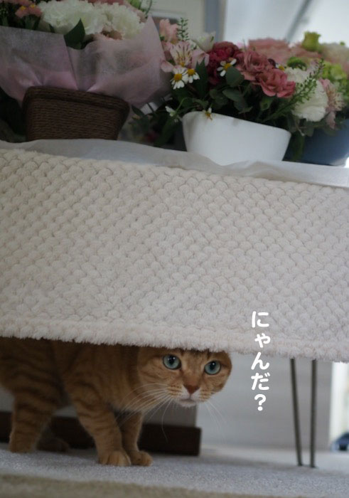 13日夜ブログ3