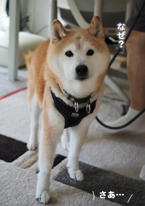 7日ブログ８