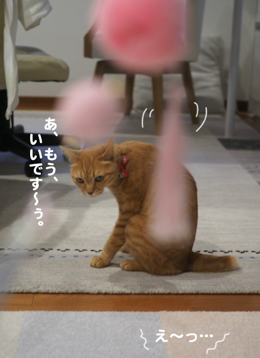 5日夕ブログ１０