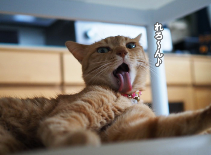 9日夕ブログ１０
