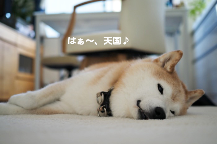22日のブログ1