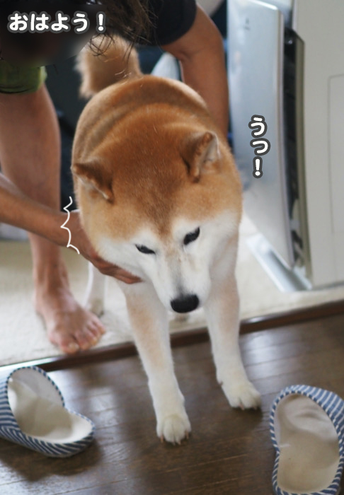 6日夕ブログ８