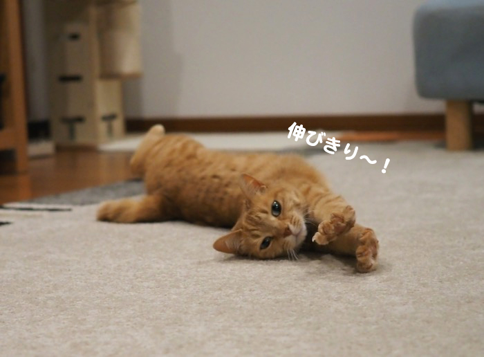 10日ブログ４