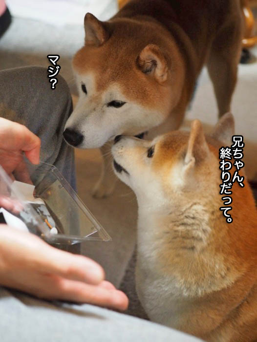 23日夜ブログ８