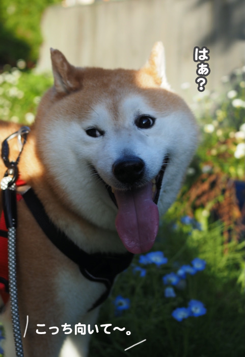 2日ブログ２