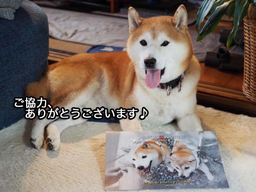 6日夜ブログ８