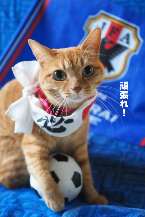 23日夕ブログ３