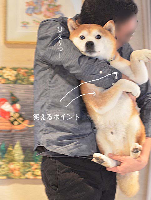 17日ブログ9