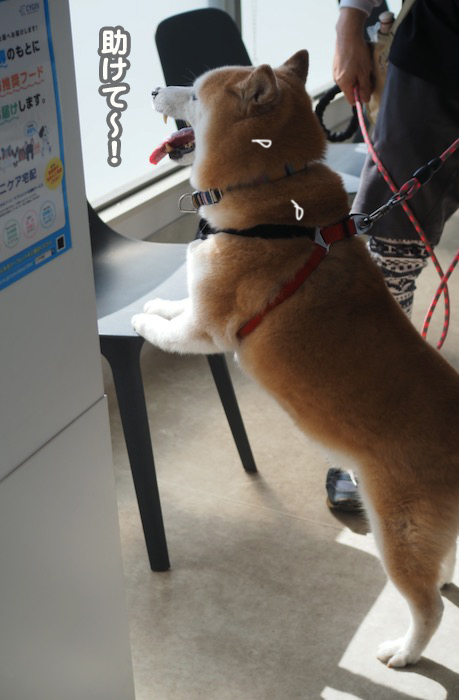 29日ブログ７