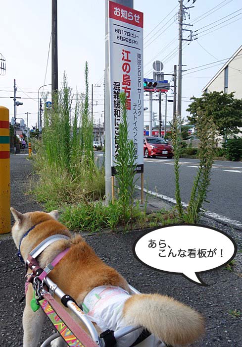 20日夜ブログ２