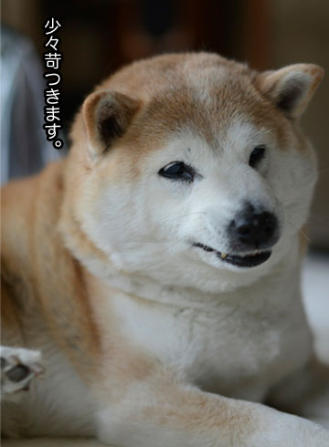 31日ブログ4.jpg