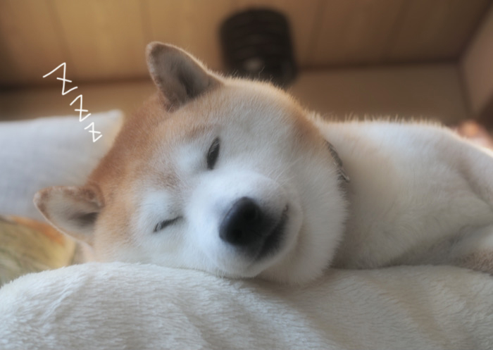 2日午前ブログ１
