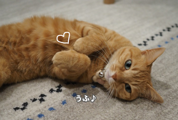 27日夕ブログ３
