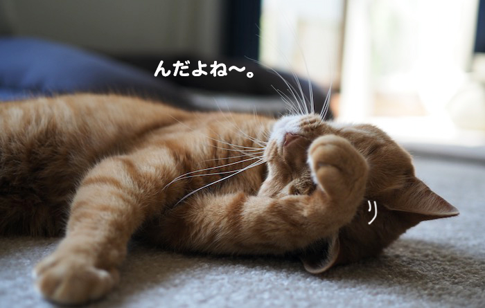 15日夕ブログ６