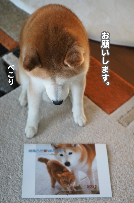 17日夕ブログ８