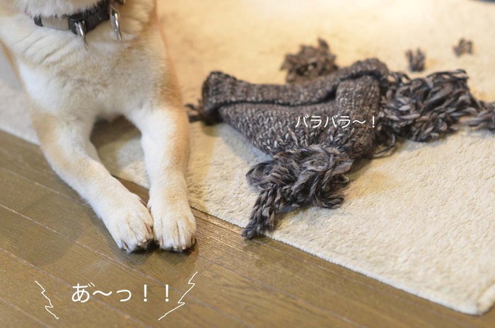 27日ブログ5