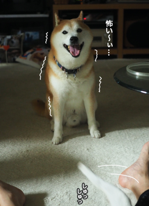 1日夜ブログ１０