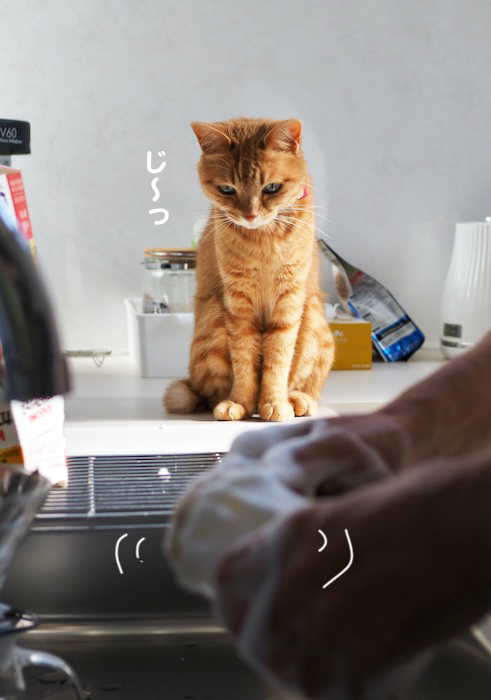 21日夕ブログ５