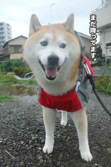 20日ブログ２