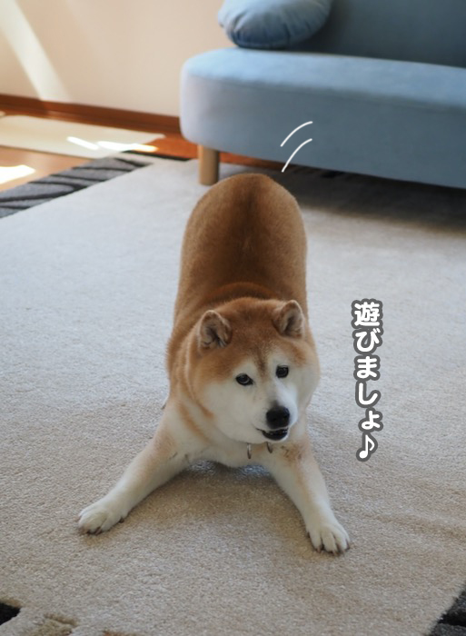 5日ブログ４