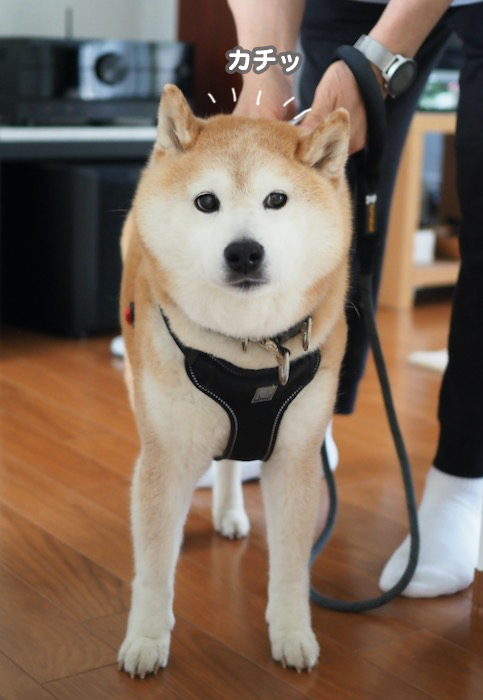 8日夕ブログ４