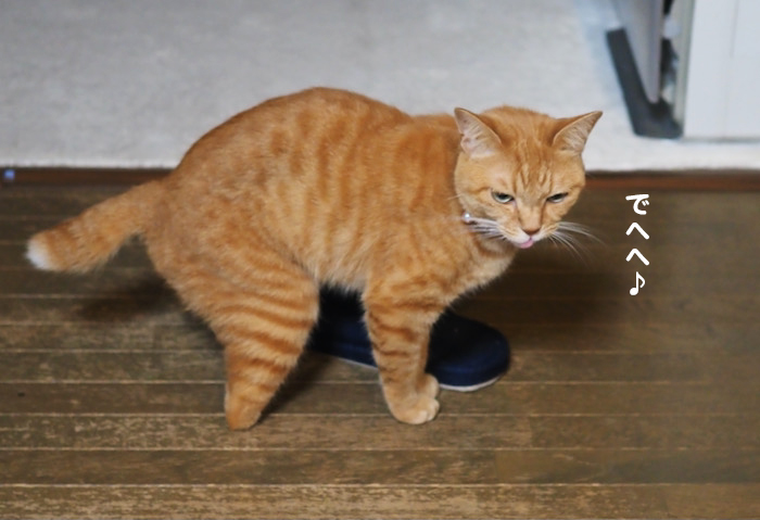 23日夜ブログ１３