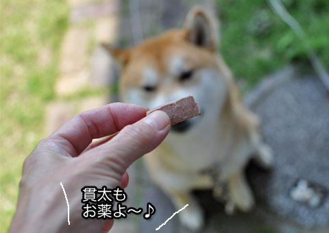 29日ブログ8.jpg