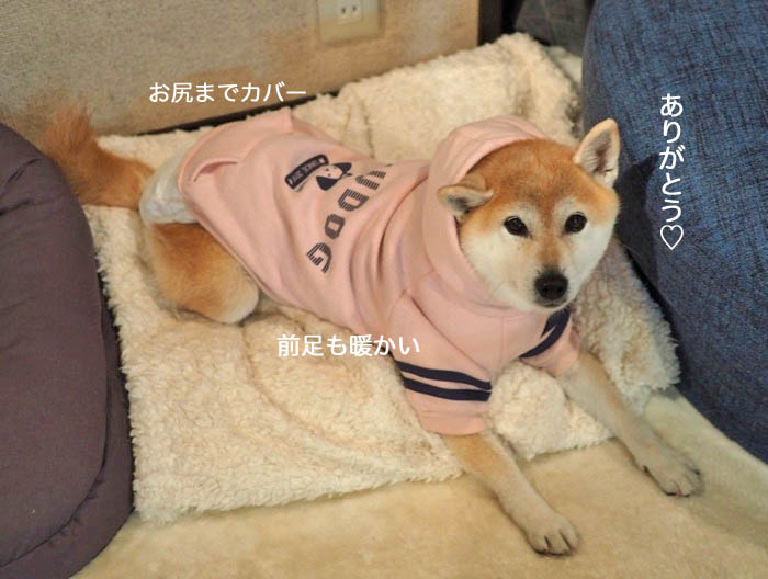 17日ブログ２
