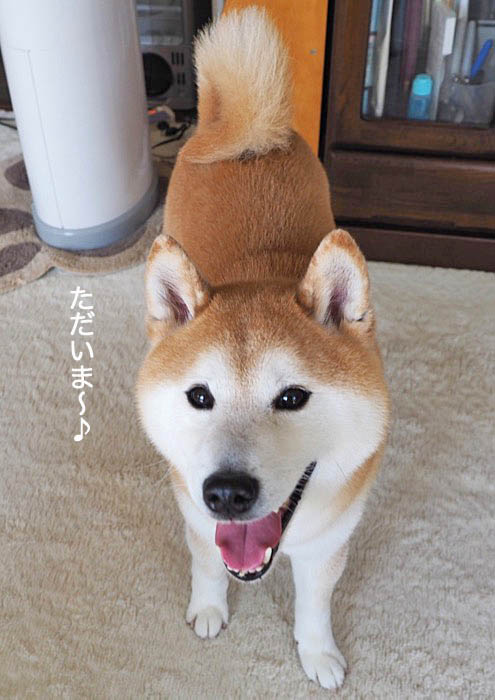 11日夜ブログ１