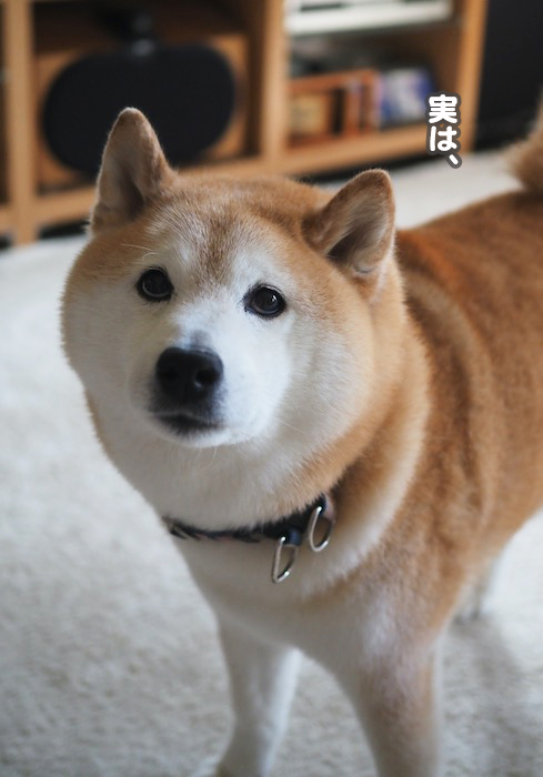 4日夕ブログ2