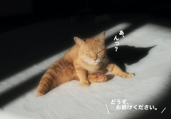 21日ブログ３