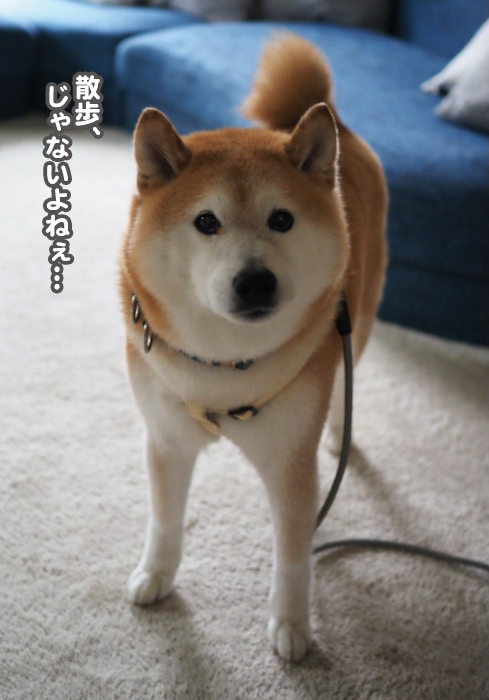 6日午前ブログ２