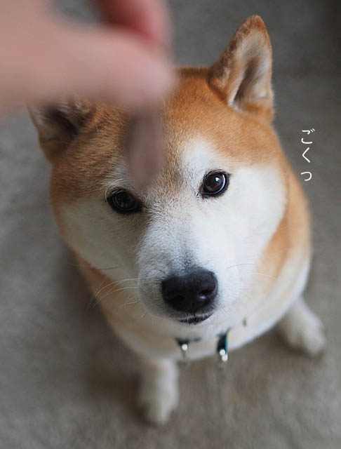 30日ブログ4