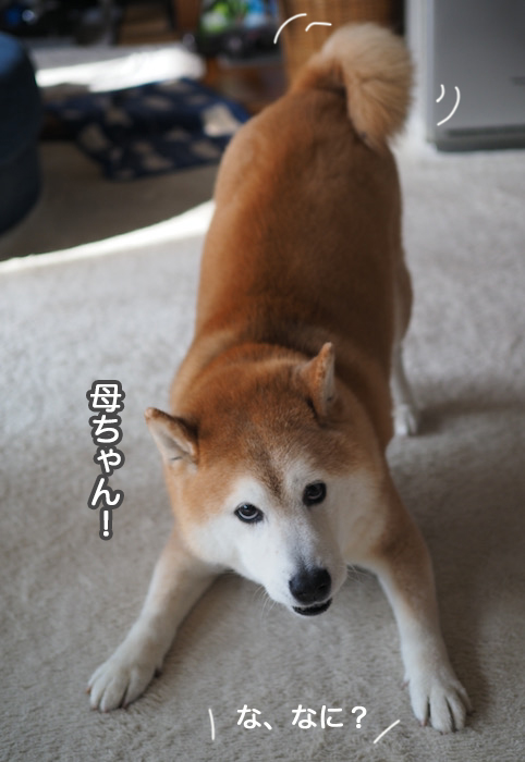 8日夜ブログ６