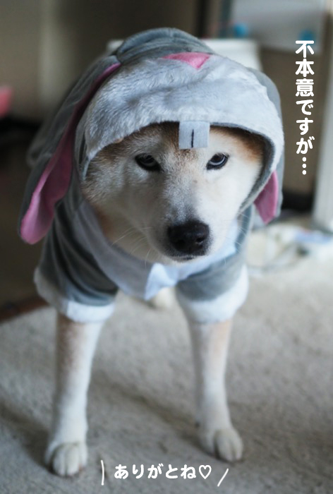 16日夕ブログ５